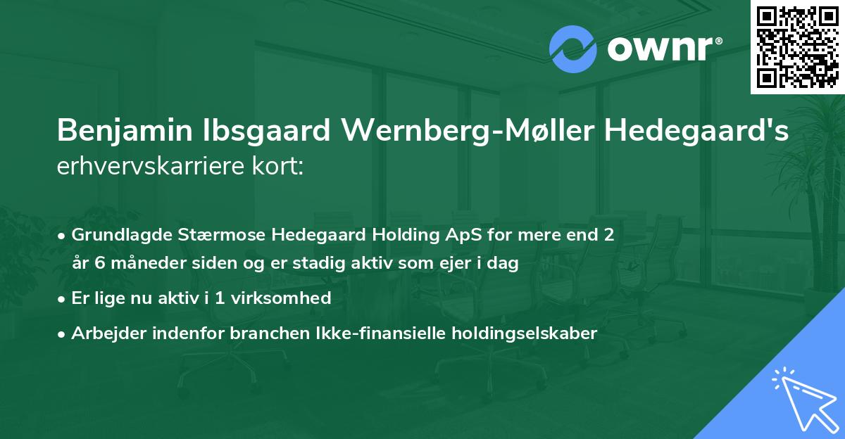 Benjamin Ibsgaard Wernberg-Møller Hedegaard's erhvervskarriere kort