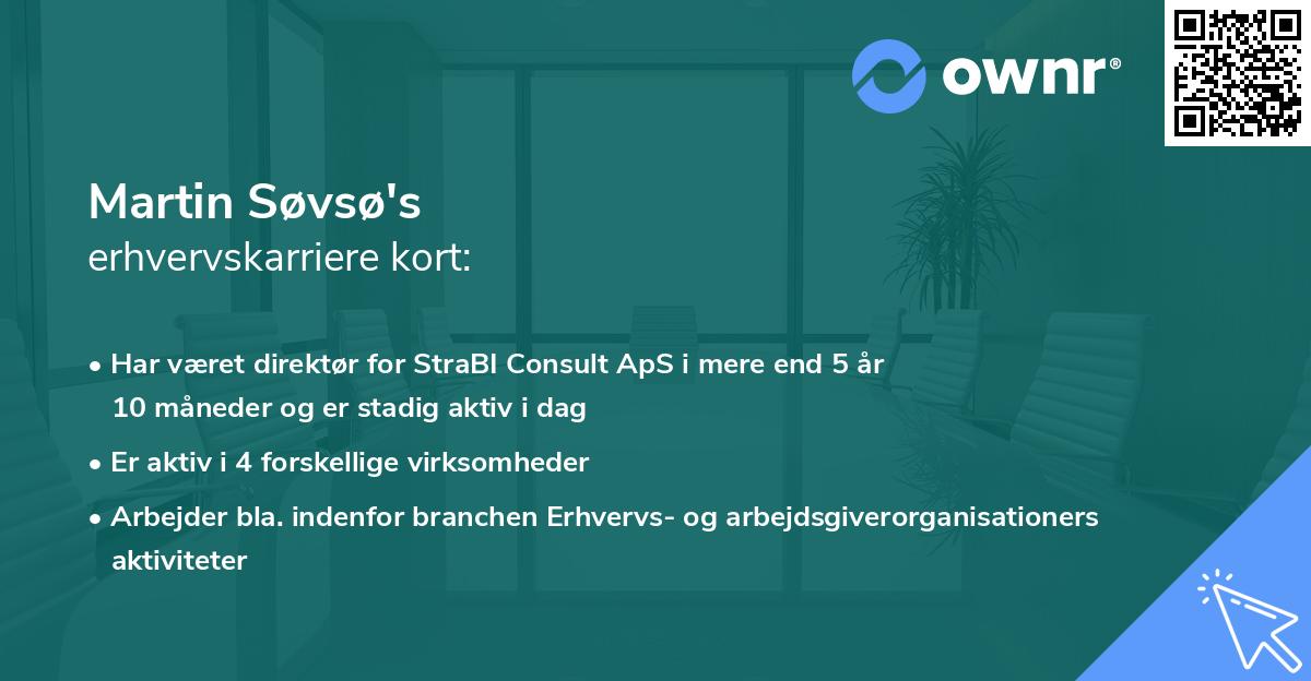 Martin Søvsø's erhvervskarriere kort