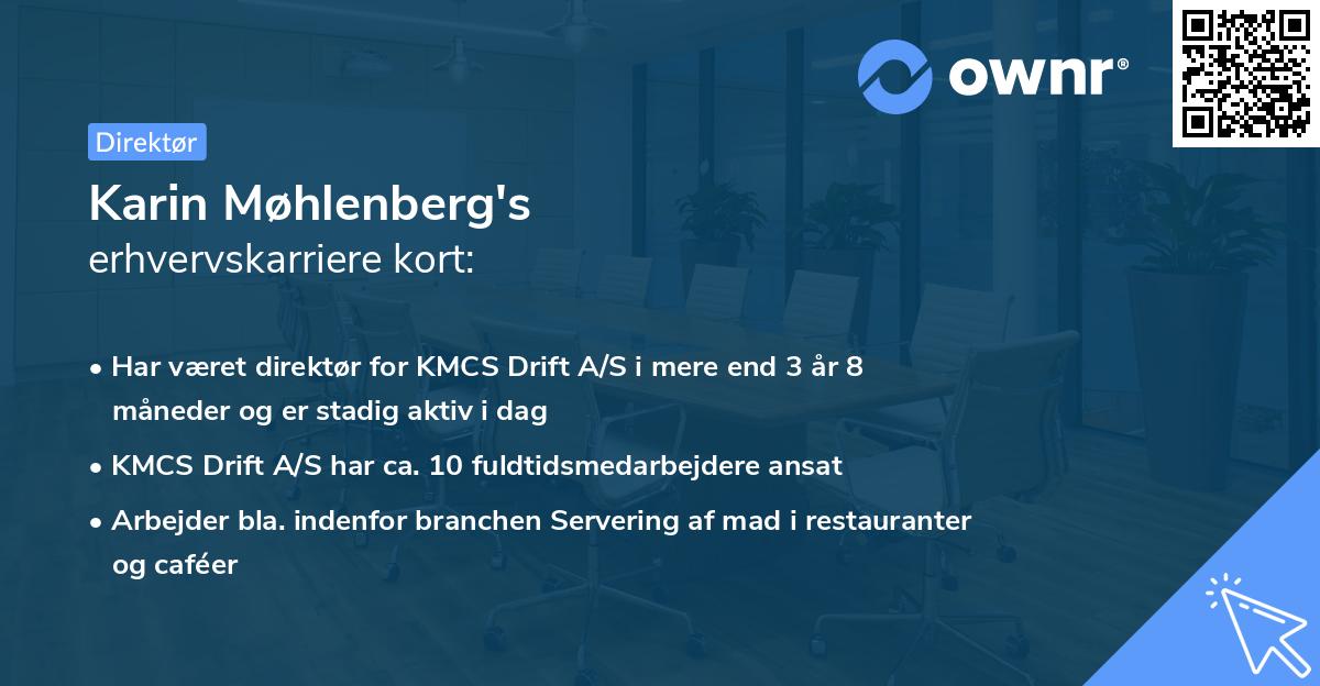 Karin Møhlenberg's erhvervskarriere kort