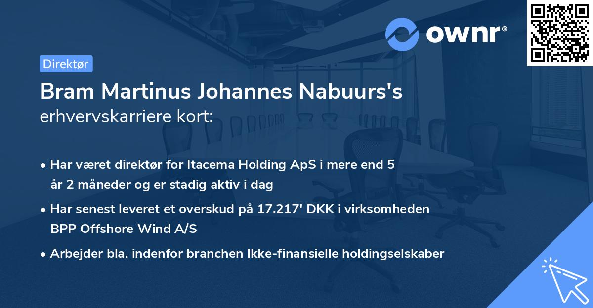 Bram Martinus Johannes Nabuurs's erhvervskarriere kort