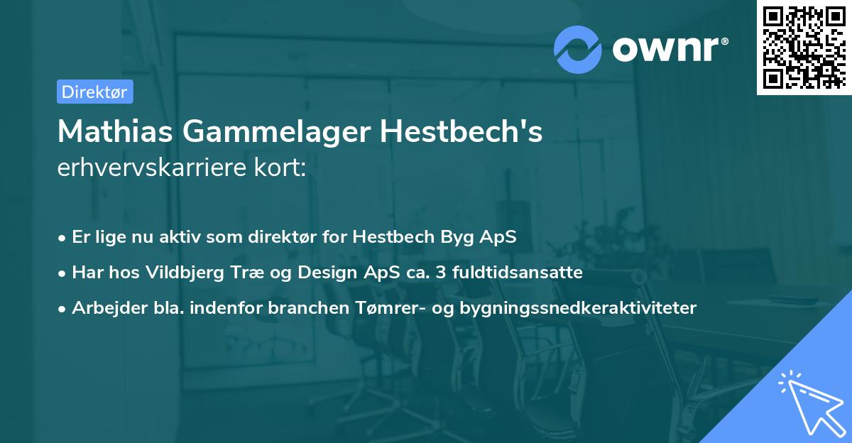 Mathias Gammelager Hestbech's erhvervskarriere kort