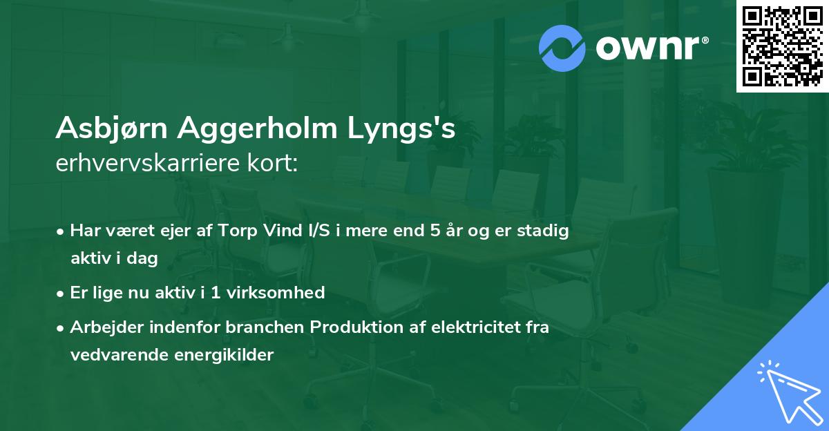 Asbjørn Aggerholm Lyngs's erhvervskarriere kort