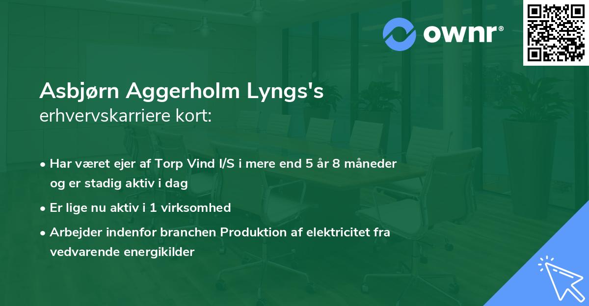 Asbjørn Aggerholm Lyngs's erhvervskarriere kort