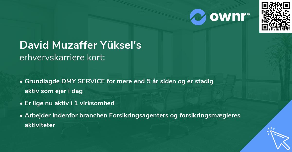 David Muzaffer Yüksel's erhvervskarriere kort