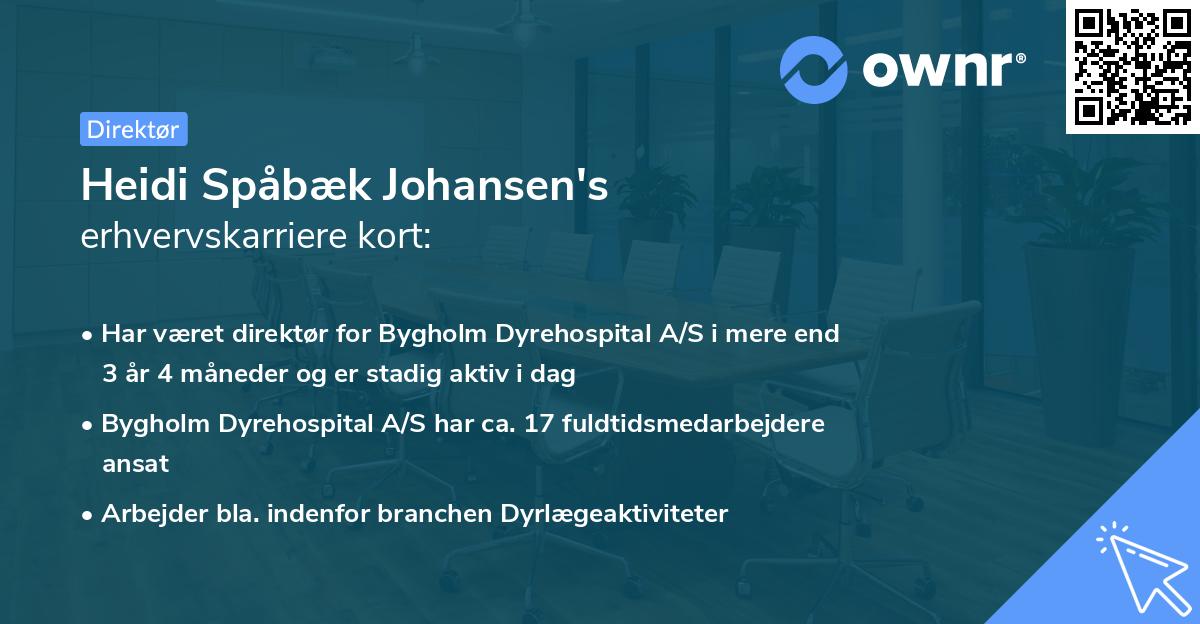 Heidi Spåbæk Johansen's erhvervskarriere kort