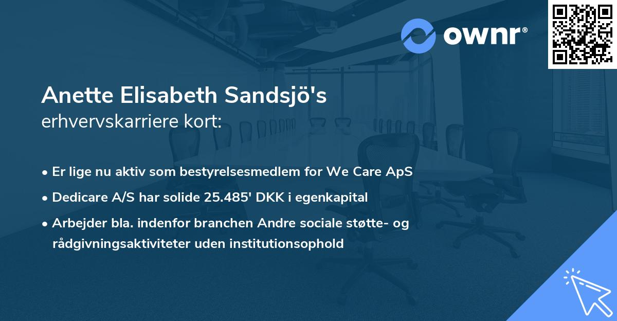 Anette Elisabeth Sandsjö's erhvervskarriere kort