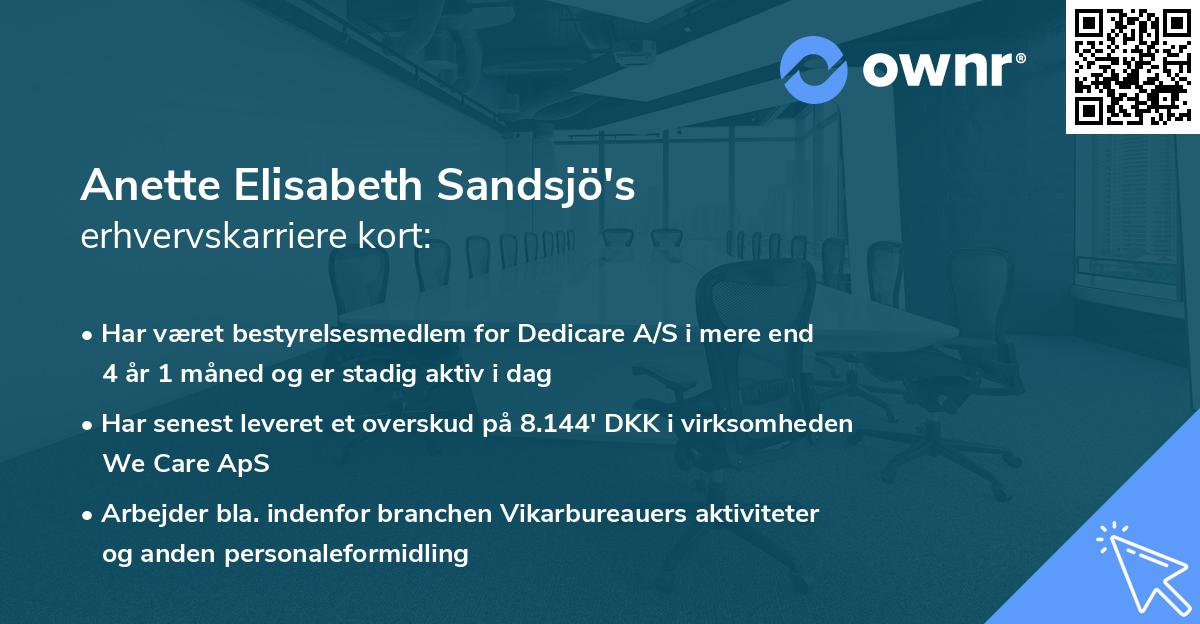 Anette Elisabeth Sandsjö's erhvervskarriere kort