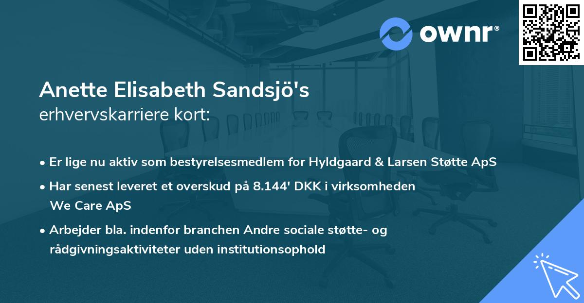 Anette Elisabeth Sandsjö's erhvervskarriere kort
