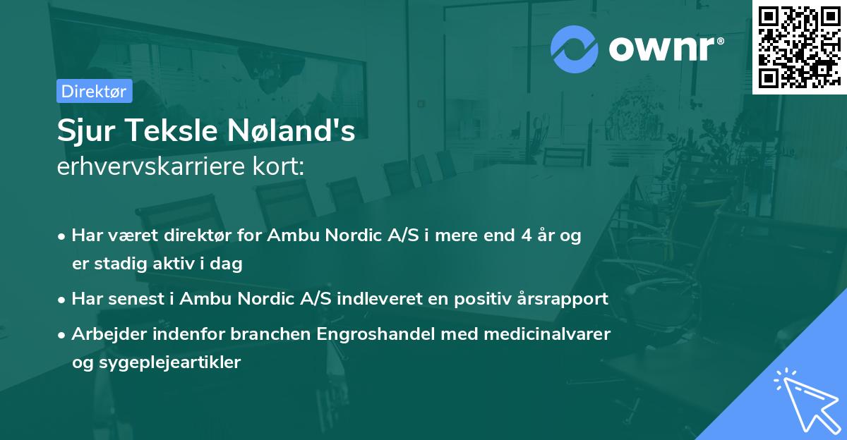 Sjur Teksle Nøland's erhvervskarriere kort