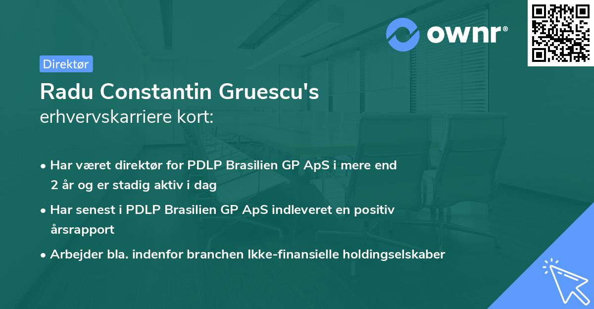 Radu Constantin Gruescu's erhvervskarriere kort