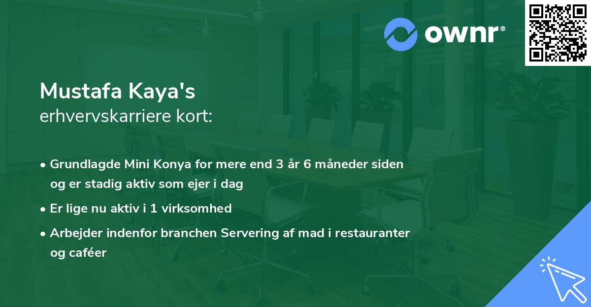 Mustafa Kaya's erhvervskarriere kort