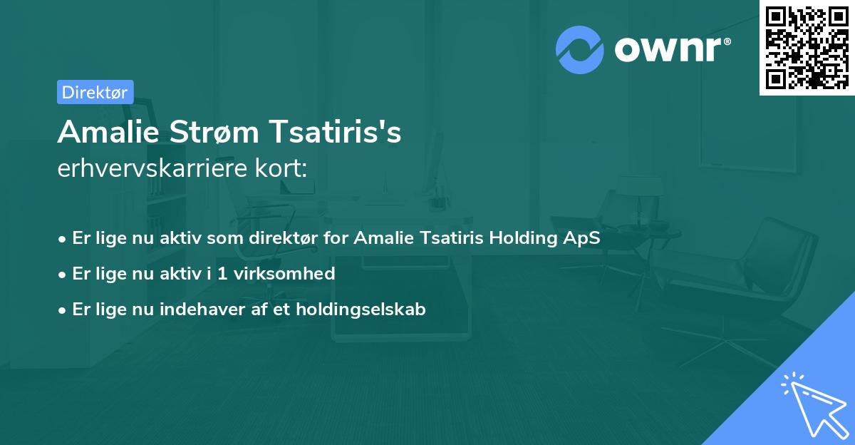 Amalie Strøm Tsatiris's erhvervskarriere kort