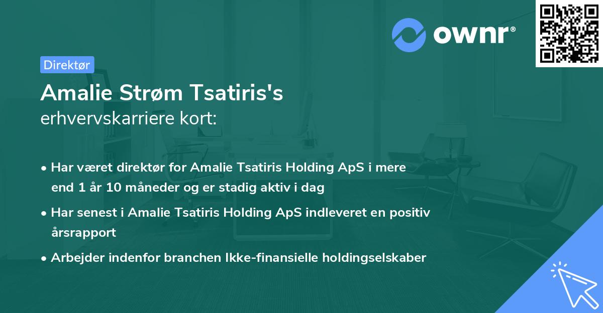 Amalie Strøm Tsatiris's erhvervskarriere kort