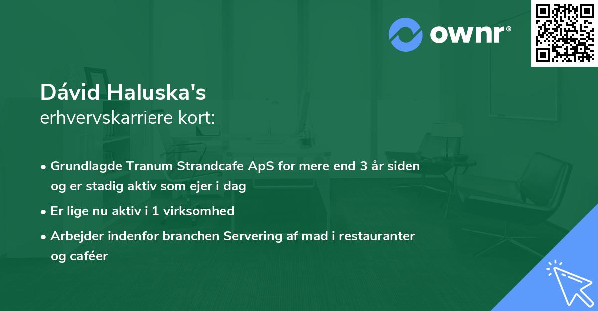 Dávid Haluska's erhvervskarriere kort