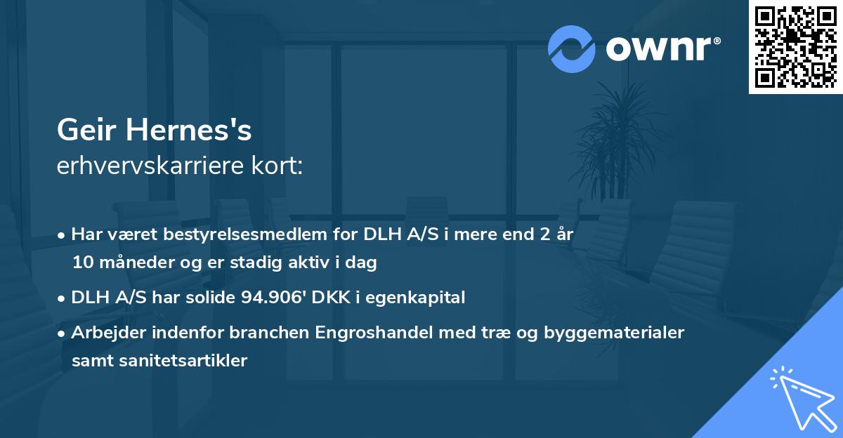 Geir Hernes's erhvervskarriere kort