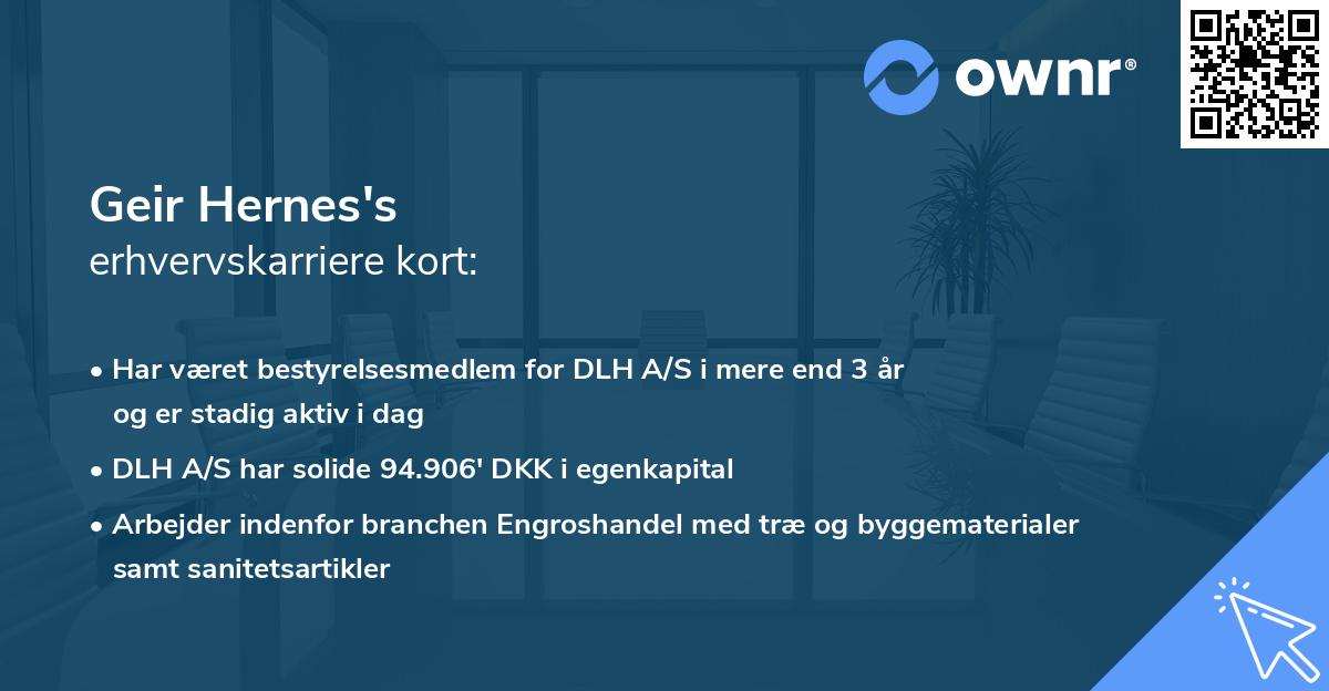 Geir Hernes's erhvervskarriere kort