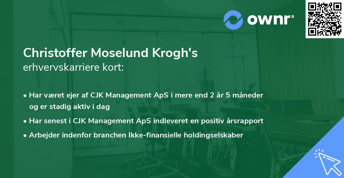 Christoffer Moselund Krogh's erhvervskarriere kort