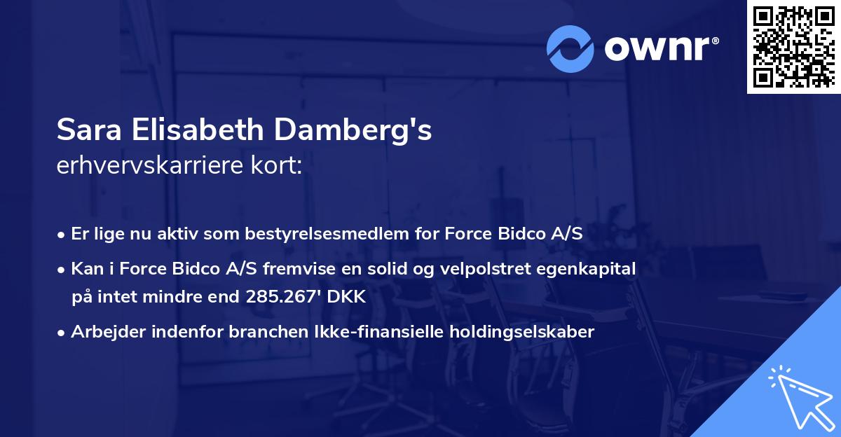 Sara Elisabeth Damberg's erhvervskarriere kort