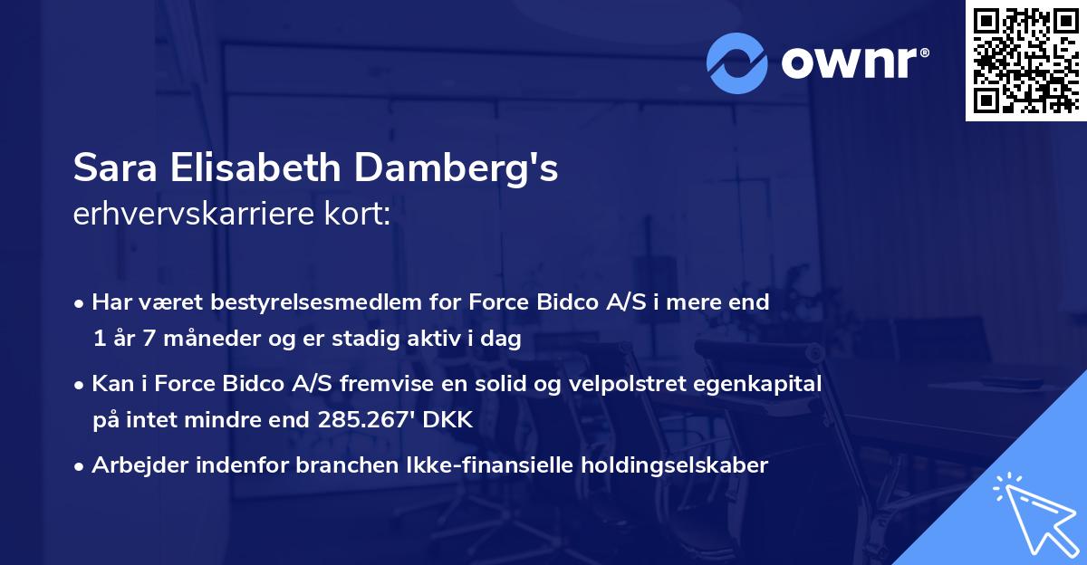 Sara Elisabeth Damberg's erhvervskarriere kort