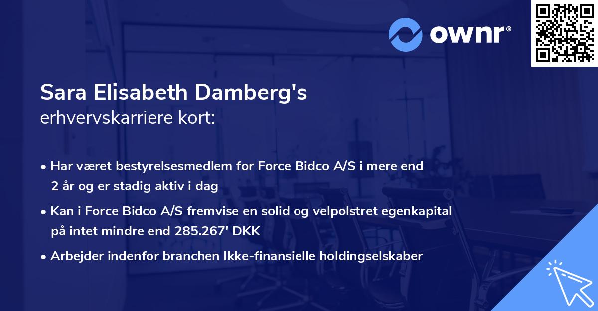 Sara Elisabeth Damberg's erhvervskarriere kort
