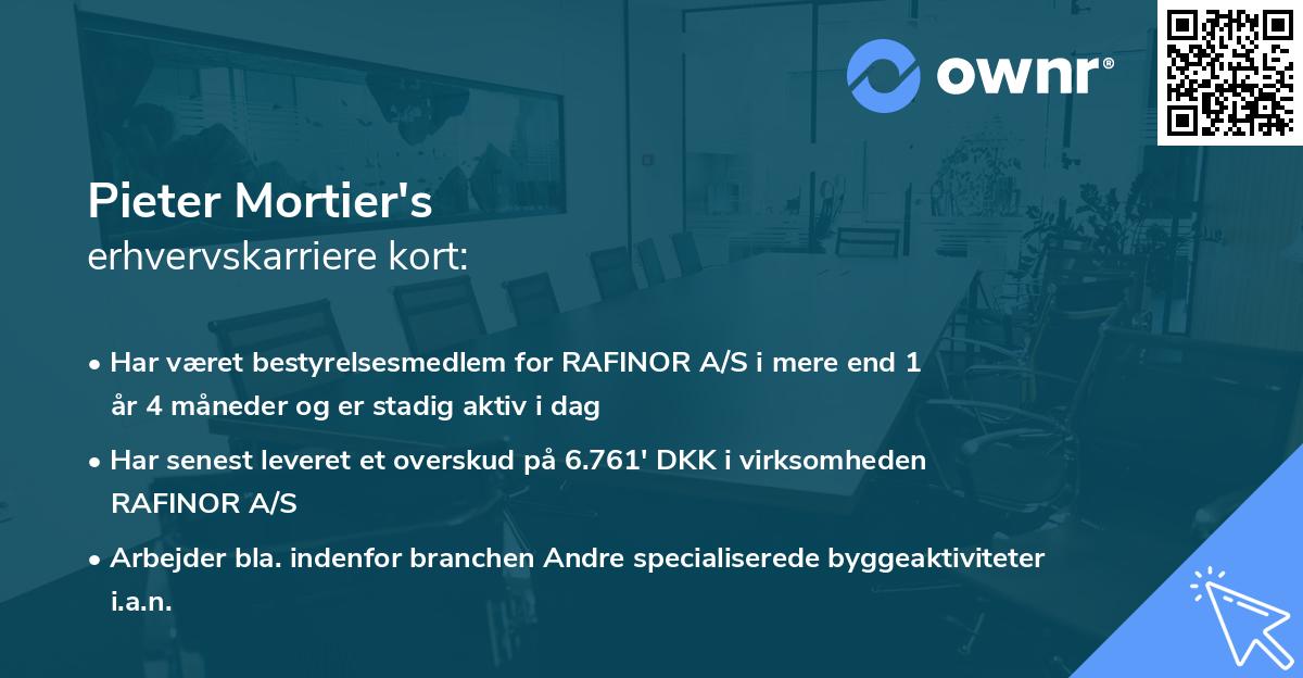 Pieter Mortier's erhvervskarriere kort