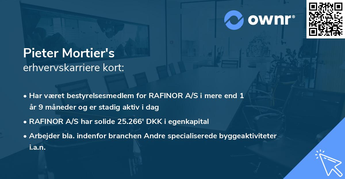 Pieter Mortier's erhvervskarriere kort