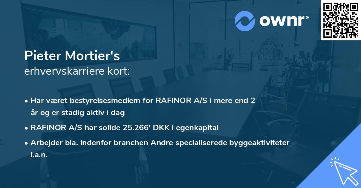 Pieter Mortier's erhvervskarriere kort