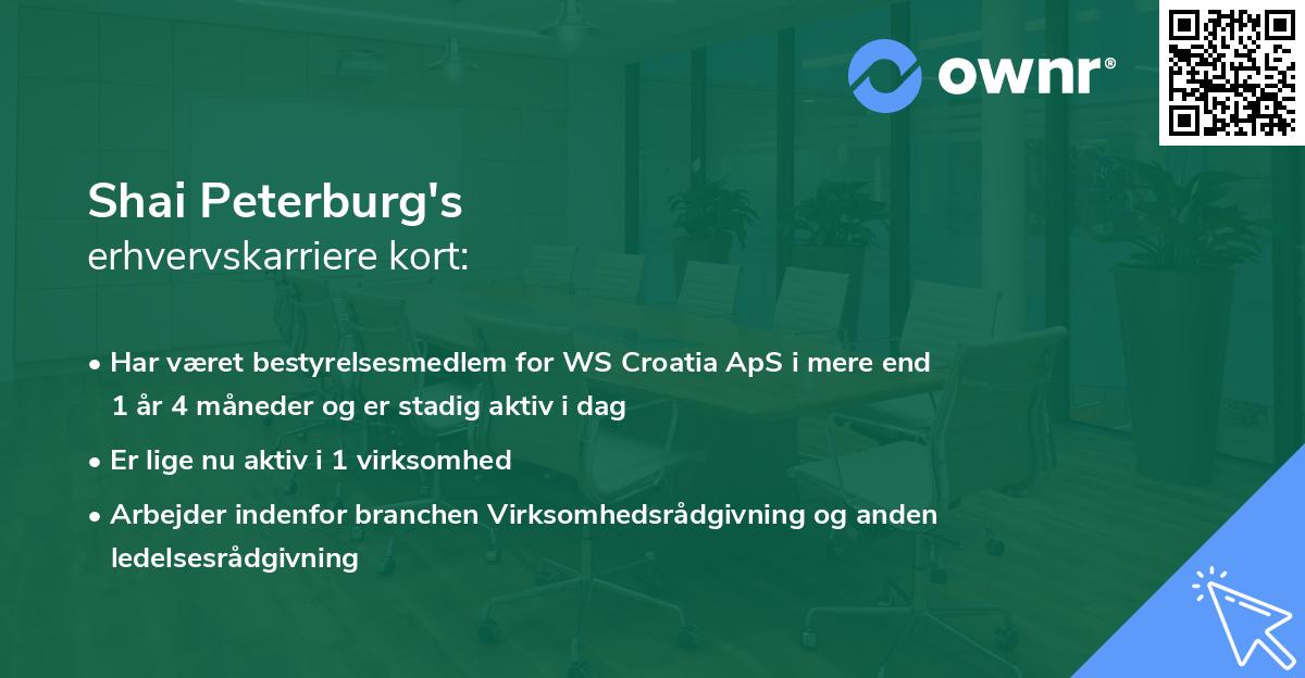 Shai Peterburg's erhvervskarriere kort