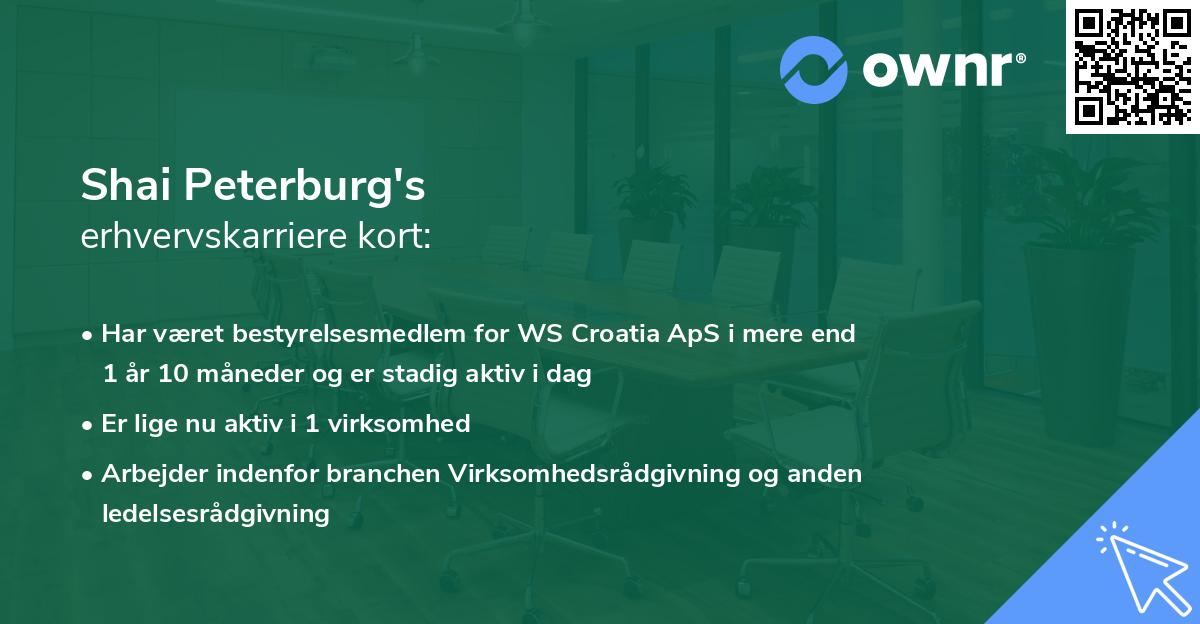 Shai Peterburg's erhvervskarriere kort