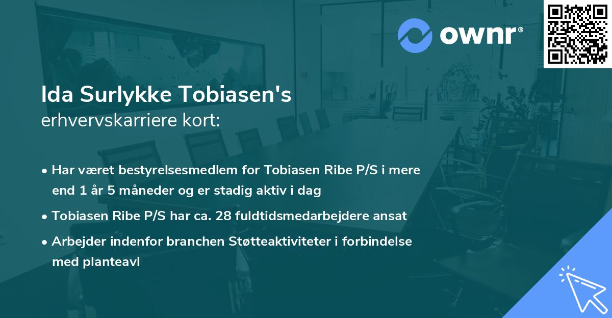 Ida Surlykke Tobiasen's erhvervskarriere kort