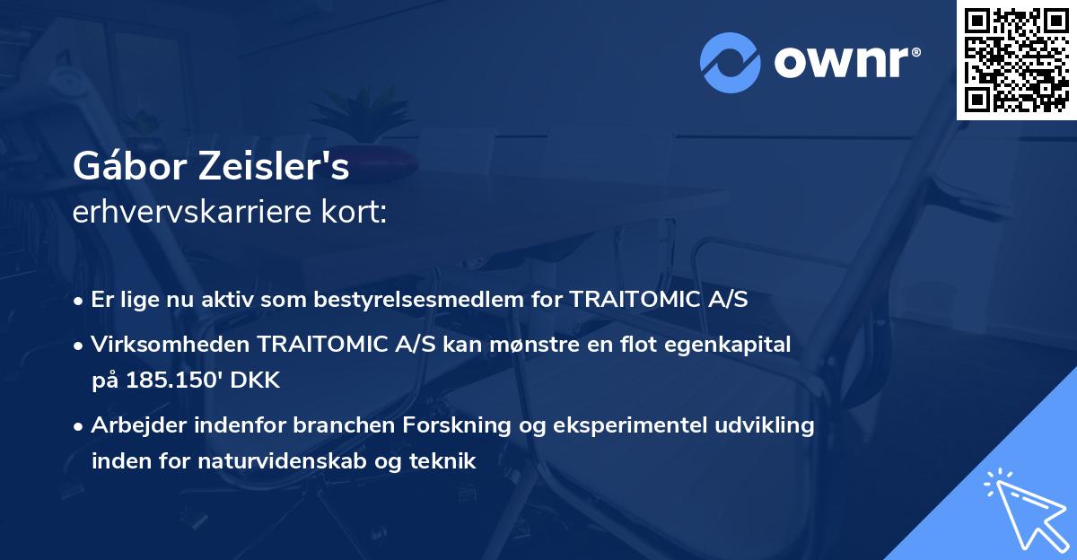 Gábor Zeisler's erhvervskarriere kort