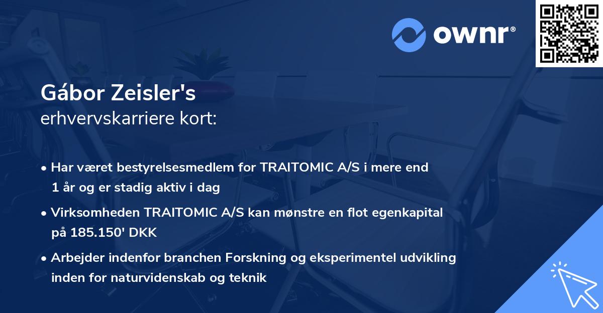 Gábor Zeisler's erhvervskarriere kort