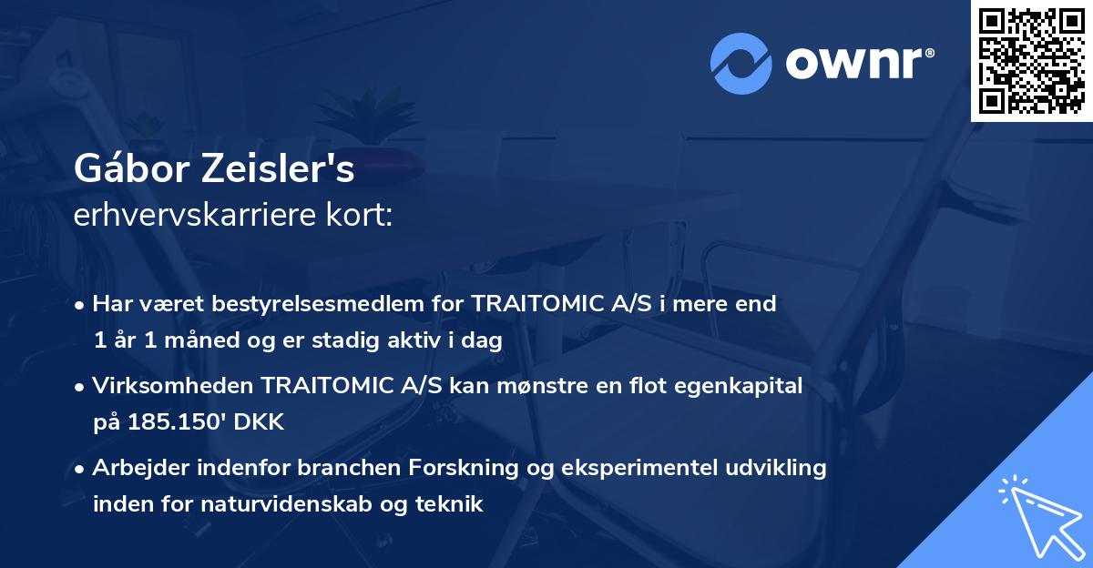 Gábor Zeisler's erhvervskarriere kort