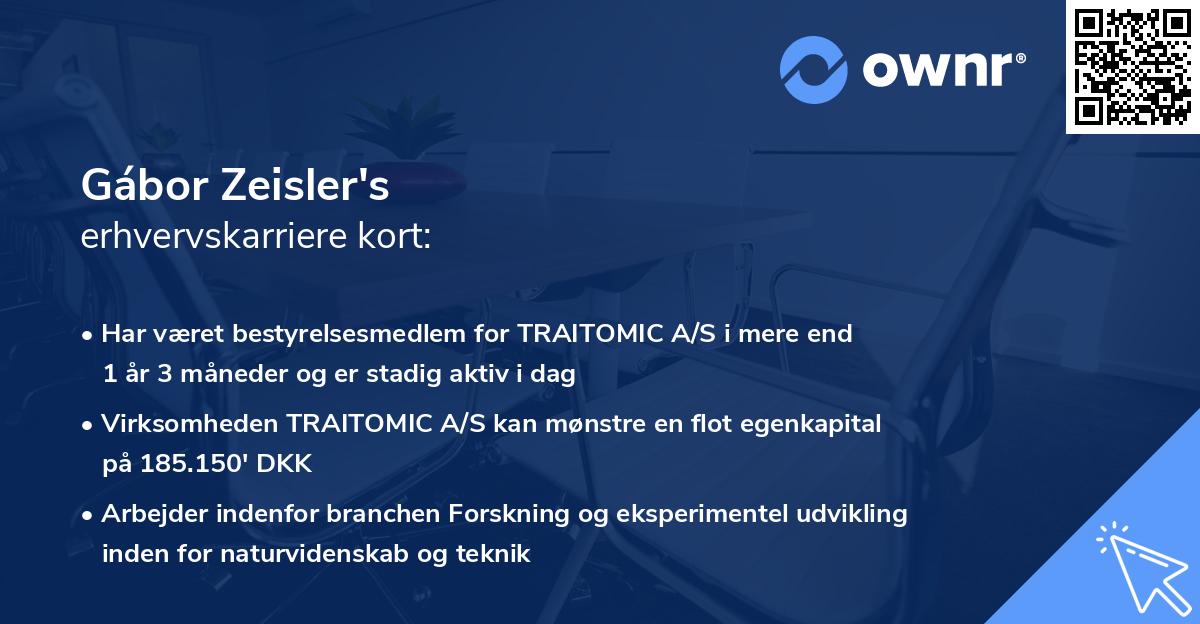 Gábor Zeisler's erhvervskarriere kort