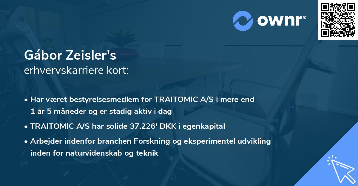 Gábor Zeisler's erhvervskarriere kort