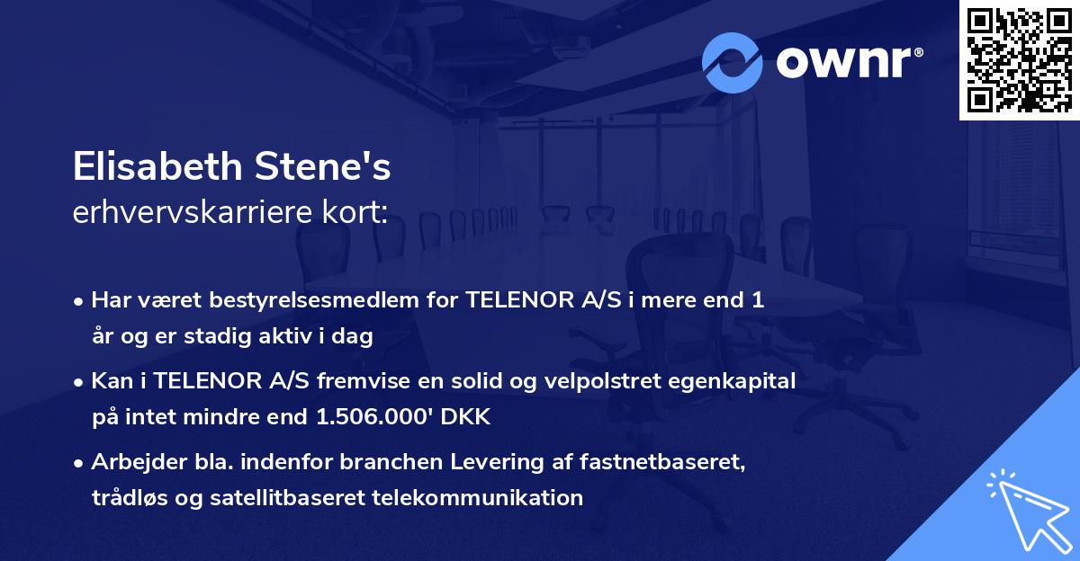 Elisabeth Stene's erhvervskarriere kort