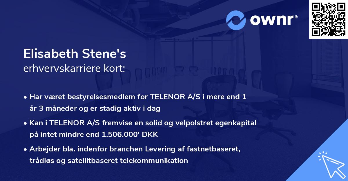 Elisabeth Stene's erhvervskarriere kort