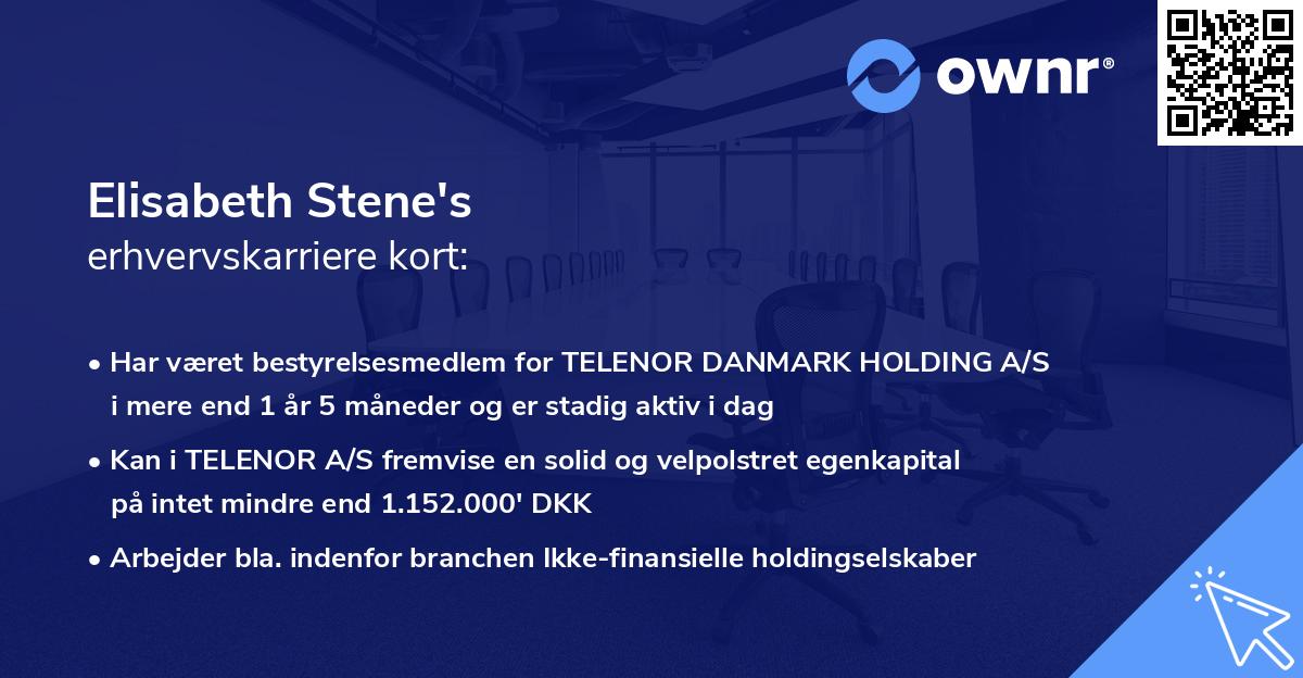 Elisabeth Stene's erhvervskarriere kort