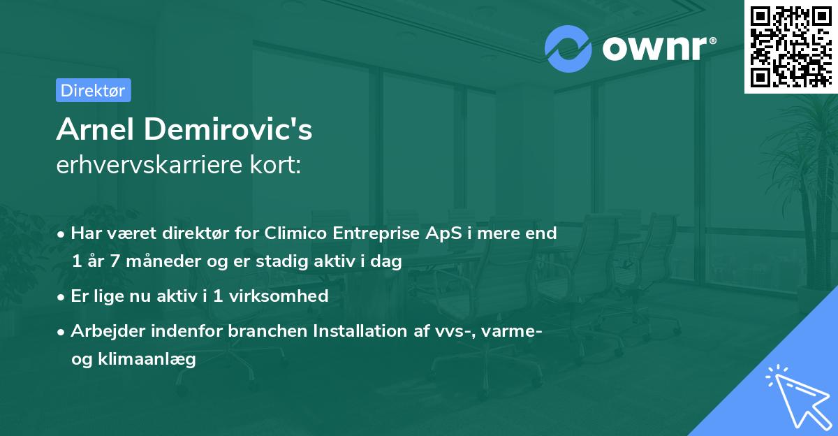 Arnel Demirovic's erhvervskarriere kort