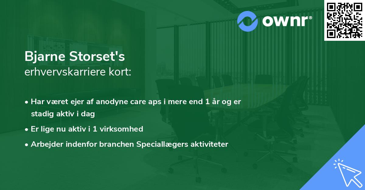 Bjarne Storset's erhvervskarriere kort