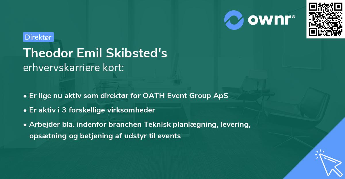 Theodor Emil Skibsted's erhvervskarriere kort