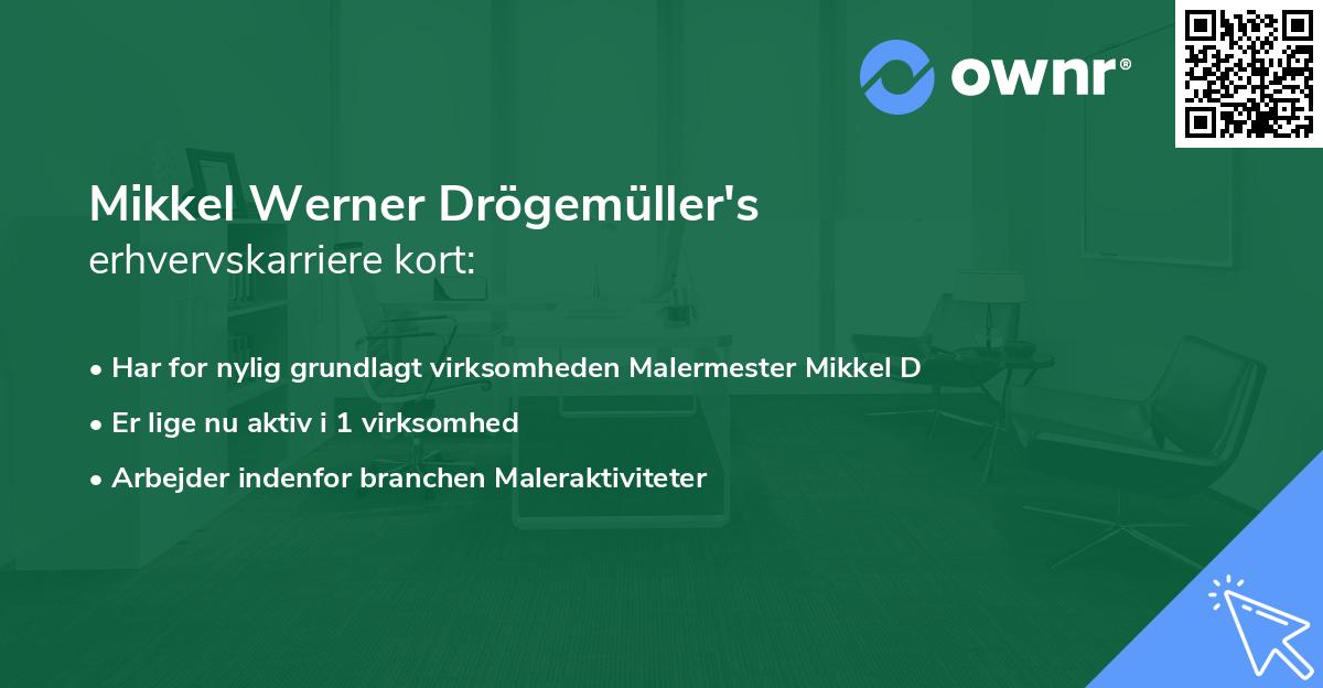 Mikkel Werner Drögemüller's erhvervskarriere kort