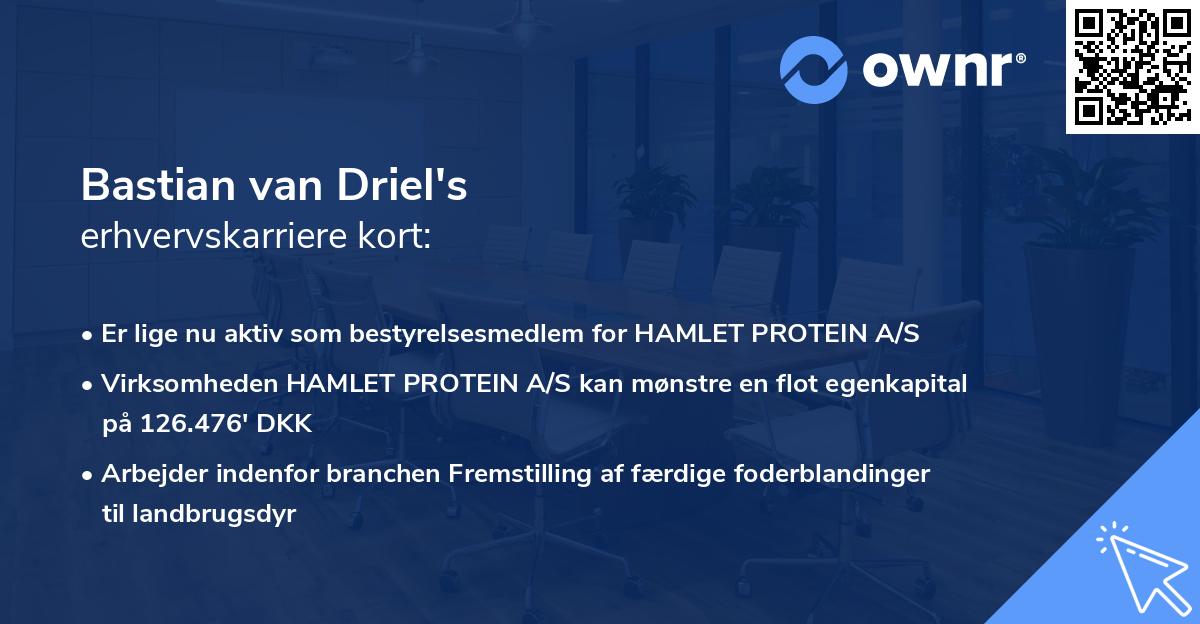 Bastian van Driel's erhvervskarriere kort