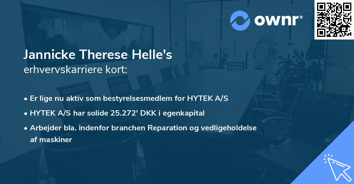 Jannicke Therese Helle's erhvervskarriere kort