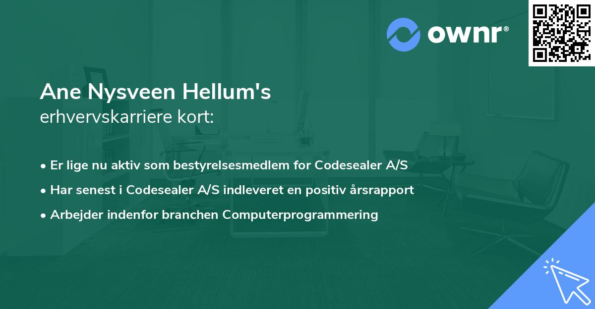 Ane Nysveen Hellum's erhvervskarriere kort