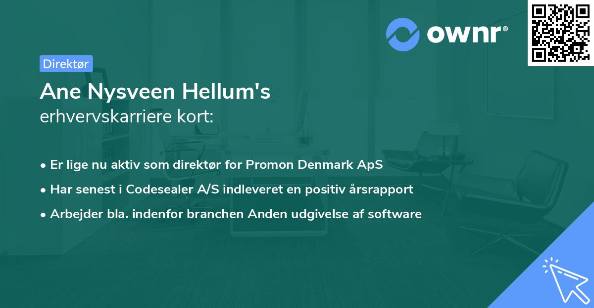Ane Nysveen Hellum's erhvervskarriere kort