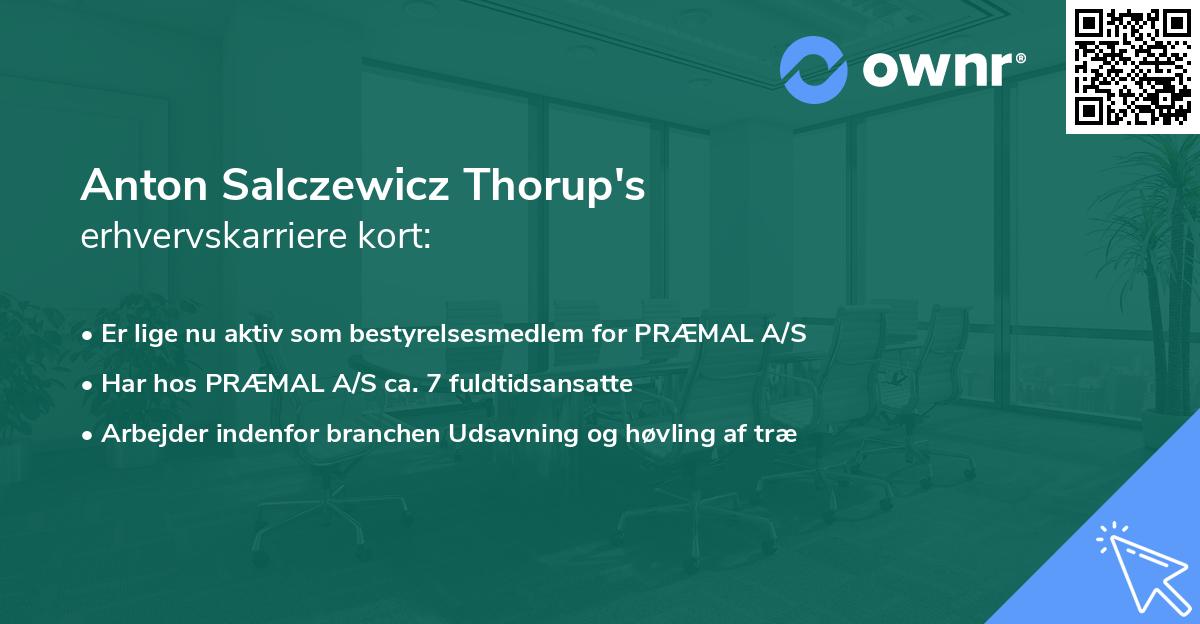 Anton Salczewicz Thorup's erhvervskarriere kort