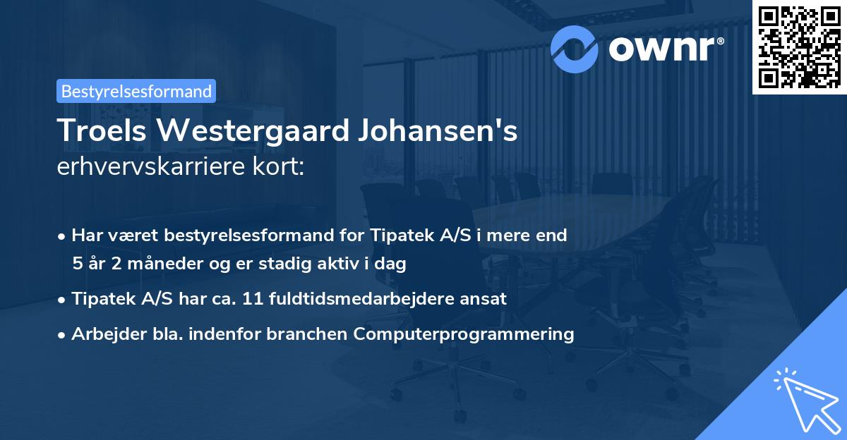 Troels Westergaard Johansen's erhvervskarriere kort