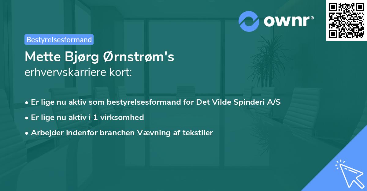 Mette Bjørg Ørnstrøm's erhvervskarriere kort