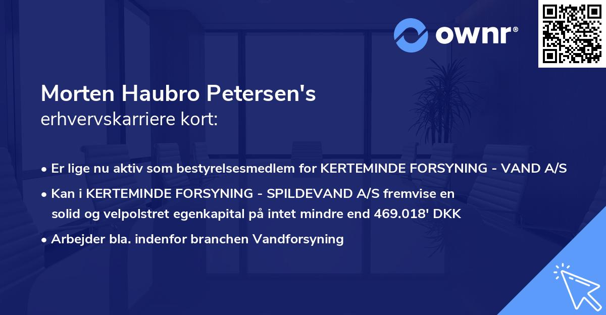 Morten Haubro Petersen's erhvervskarriere kort